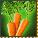 image:Морковка.jpg